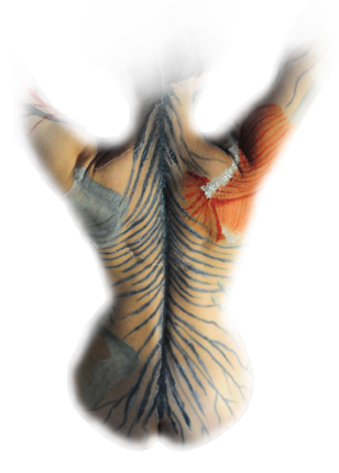 Paula Fernández García Work