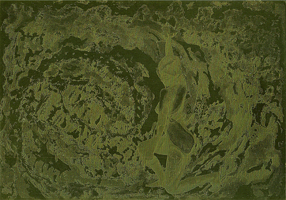 photosensitive polymer