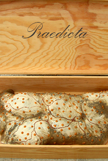 Praedicta