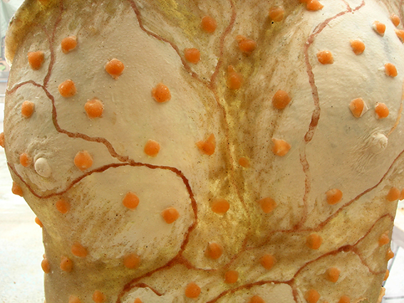 Praedicta